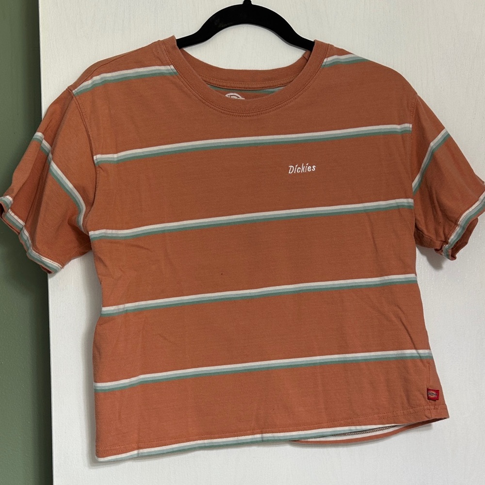 Dickies Rust T-Shirt with Stripes